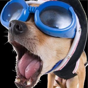 Meet your Posher, Vincent